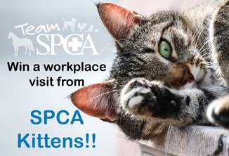 CMDPrint SPCA CMDPrint SPCA
